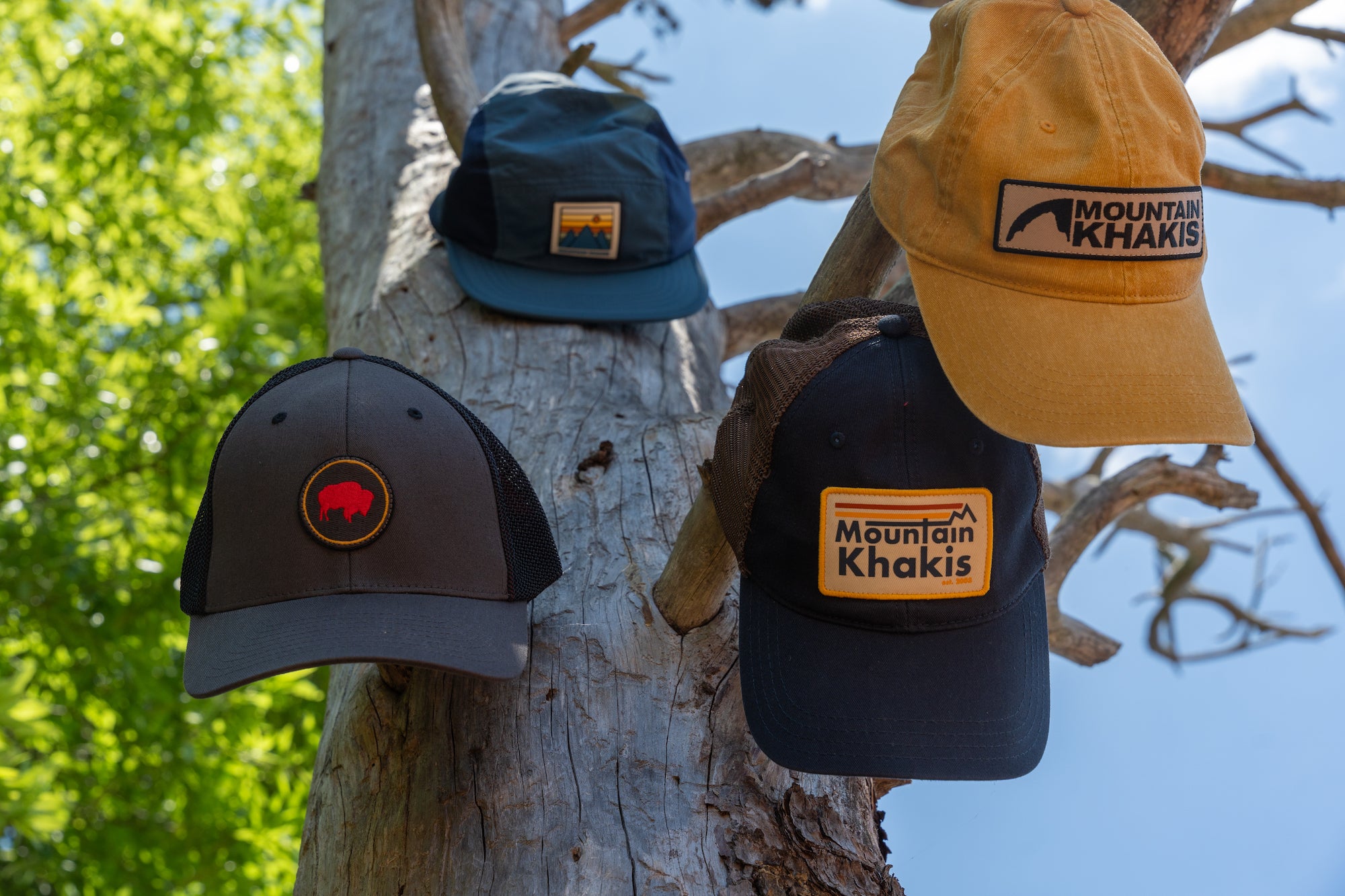 Hats & Beanies